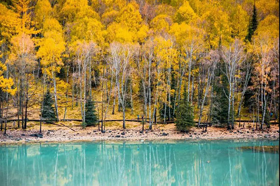 18條絕美自駕路線，承包你的整個十一小長假！