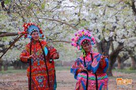 碭山民俗文化 碭山民俗文化