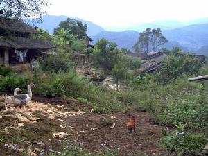 丙者自然村 丙者自然村