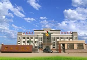 山東亞太汽車內飾材料有限公司 山東亞太汽車內飾材料有限公司