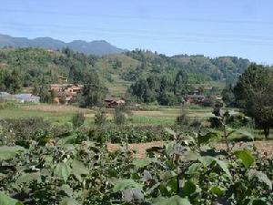 盤迤者村 盤迤者村