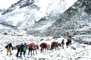 甲桑古道 甲桑古道