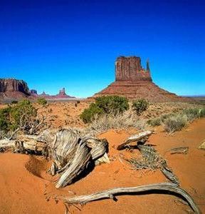 巴塔哥尼亞 巴塔哥尼亞