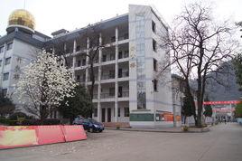 陝西省鎮巴中學 陝西省鎮巴中學