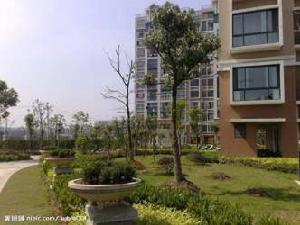 楷康鳳還閣院 楷康鳳還閣院