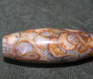 法螺天珠 法螺天珠