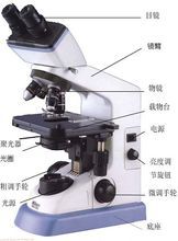 顯微鏡結構圖