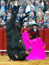西班牙鬥牛
