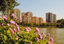 肇慶高新區水岸花城