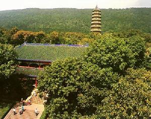 （圖）大天界寺