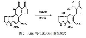 AFB1轉化成AFM1的反應式