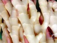 銅陵[安徽省地級市]