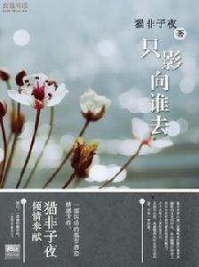 隻影向誰去 隻影向誰去