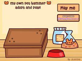 領養倉鼠 領養倉鼠