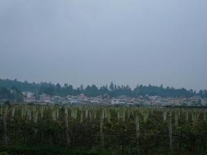 金線洞村 金線洞村