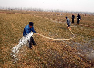（圖）引水灌溉