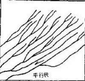 平行狀水系型 平行狀水系型