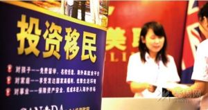 白領移民潮 白領移民潮