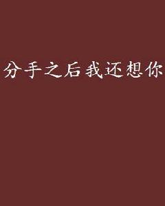 分手之後我還想你 分手之後我還想你