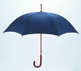雨傘[生活工具]