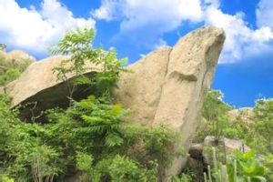 龍山勝景 龍山勝景