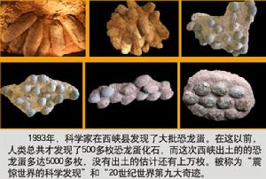 南陽恐龍蛋化石群自然保護區