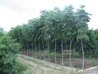 周口市經濟技術開發區