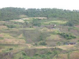 阿細地村 阿細地村