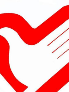 國際志願者組織 國際志願者組織