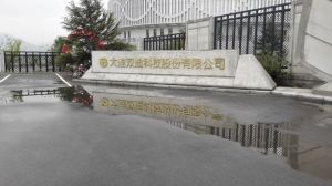 大連雙迪科技股份有限公司