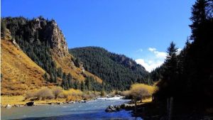 紐約老李騎兵訓練營