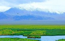 阿爾金山保護區