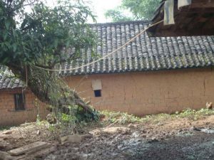 芒剛自然村 芒剛自然村