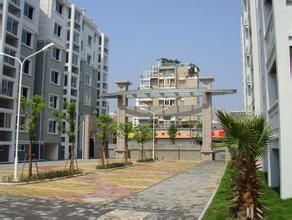 麗水社區 麗水社區