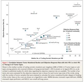 腫瘤突變負荷 腫瘤突變負荷