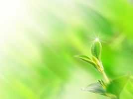 生氣勃勃 生氣勃勃