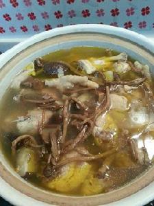 茶樹菇煲雞湯