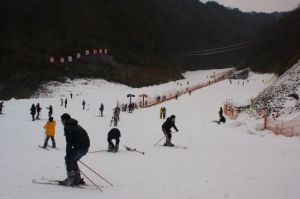 神農架天燕滑雪場 神農架天燕滑雪場