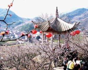紹興香雪梅海旅遊區 紹興香雪梅海旅遊區