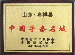 中國手套名城 中國手套名城