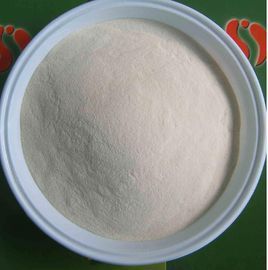 馬鈴薯全粉 馬鈴薯全粉