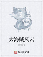 大海賊風雲 大海賊風雲