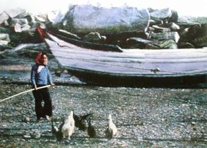 （圖）中華人民共和國新中國油畫作品