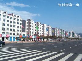 張村鄉[河北獻縣轄鄉]