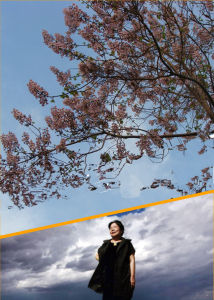 桐花——席慕容