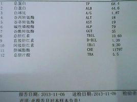 B肝E抗原 B肝E抗原