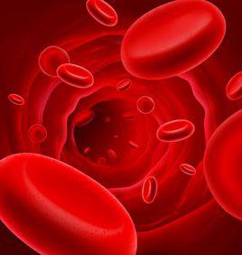 紅細胞分布寬度 紅細胞分布寬度