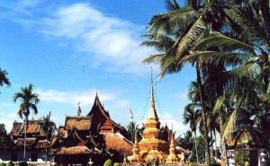 西雙版納熱帶花卉園 西雙版納熱帶花卉園