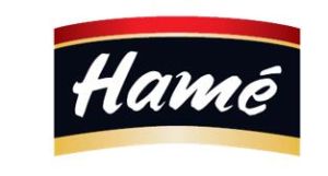 Hame集團 Hame集團
