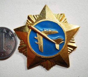 空軍飛行紀念章 空軍飛行紀念章